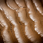 Sandilands