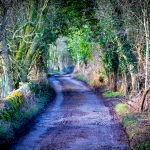 Wyver Lane, Belper